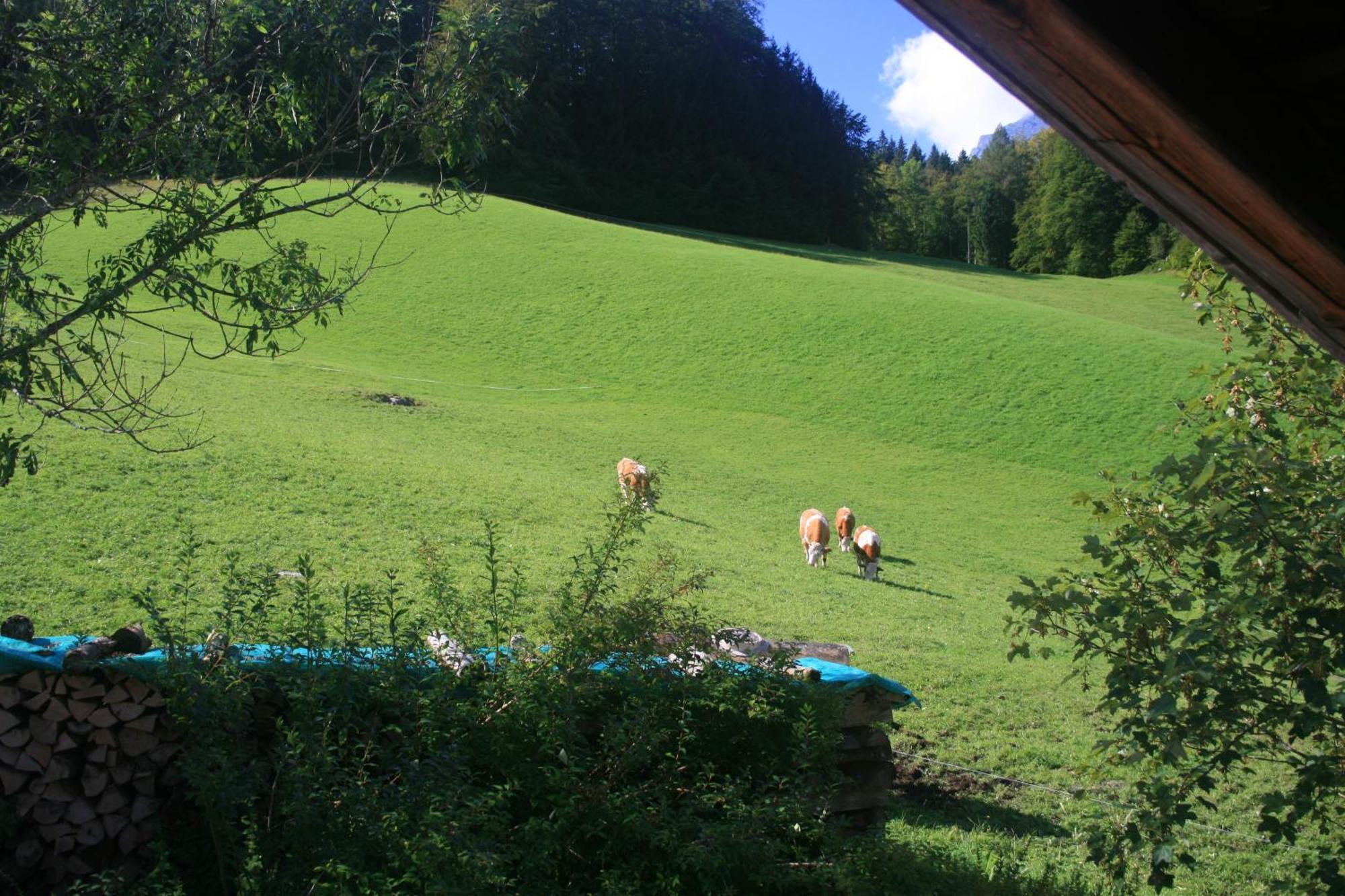 Alpenhotel Beslhof Ramsau bei Berchtesgaden Bagian luar foto